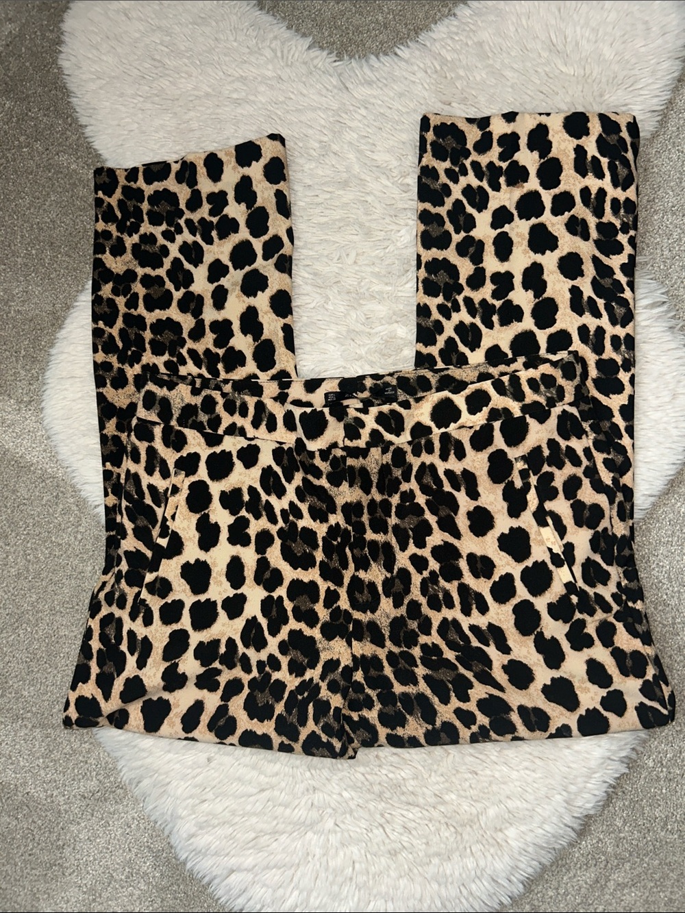 Zara Leopard Print